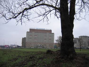 Гостиница Охтинская, Большеохтинский проспект, 4, дерево