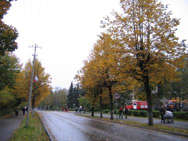 Город Лодейное Поле, улица, проспект Ленина, осень
