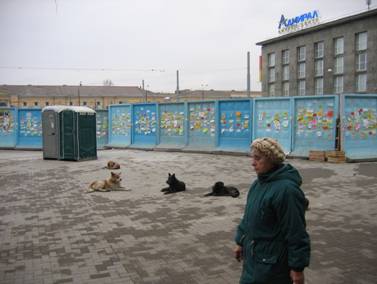Площадь Балтийского вокзала, бабка, бабушка, собаки, псы, свора