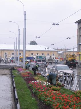 Митрофаньевское шоссе, площадь Балтийского вокзала, цветы, газоны