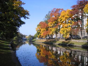Черная речка, осень, желтые, красные листья, вода, отражение