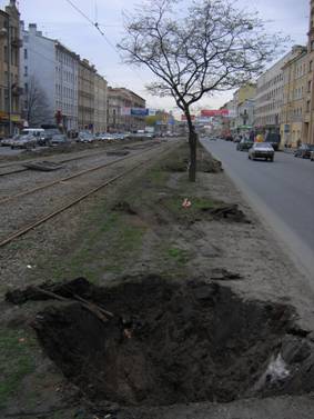 Лиговский проспект, выделенная полоса, трамвайные пути, разбор, снятие трамвайных рельсов, пути, вырубленное, выкорчеванное дерево