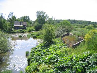 Деревня Кудрово, река Оккервиль, разобранный мост, переправа