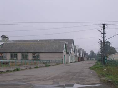 Деревня Лаврики, совхоз, молочный комплекс Лаврики, ангары