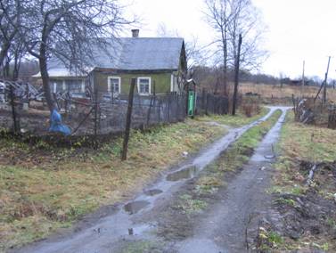 Деревня Нижние Осельки, деревянный дом