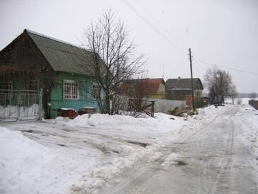 Деревня Хиттолово, Центральная улица, дома