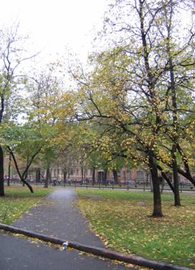 Большой проспект Васильевского острова, бульвар, эспланада, осень, желтые листья