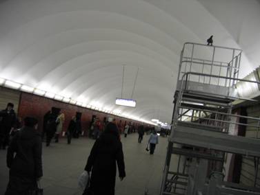 Голубь, станция метро Маяковская, подземный, перронный зал