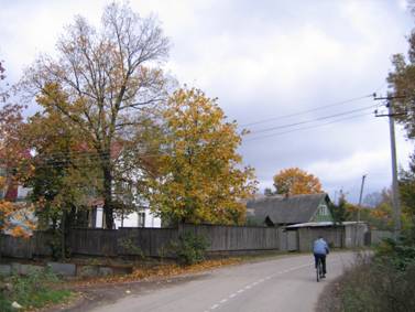 Деревня Лаврики, центральная улица, осень, велосипедист